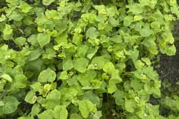  Waimate Highway, Saint Andrews