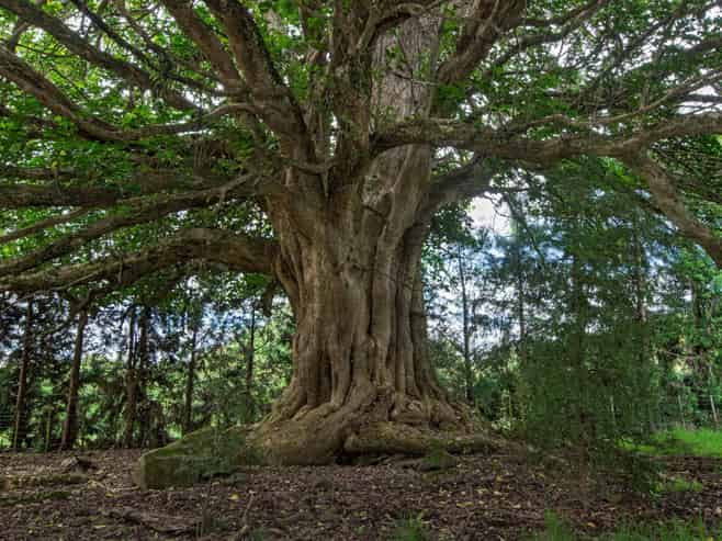 662A Ngunguru Road, Glenbervie