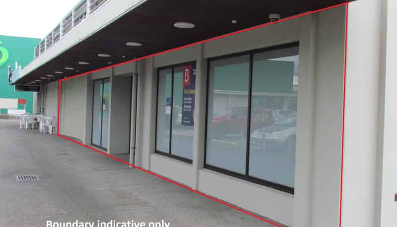 272 Broadway Avenue, Palmerston North