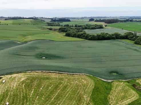 142 Deep Creek Road, Waimate