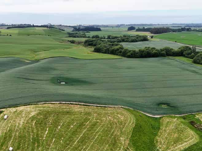 142 Deep Creek Road, Waimate