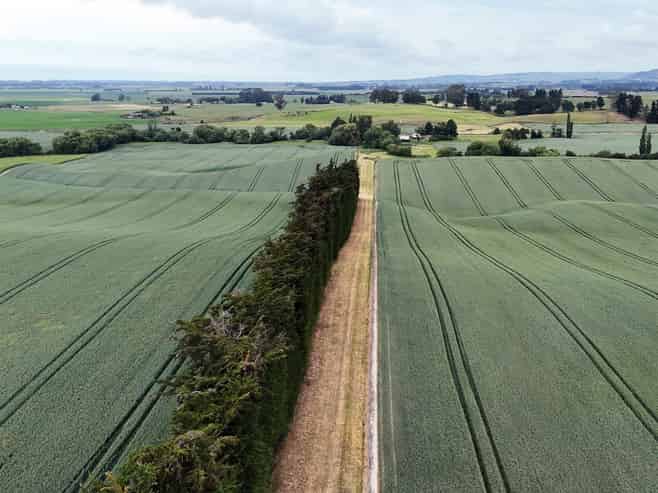 142 Deep Creek Road, Waimate