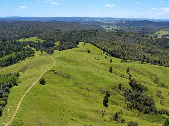 2231 State Highway 12, Waima