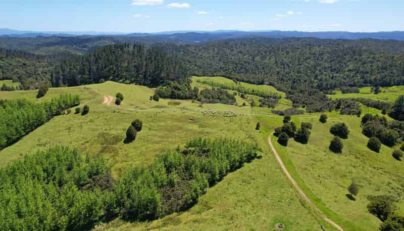2231 State Highway 12, Waima