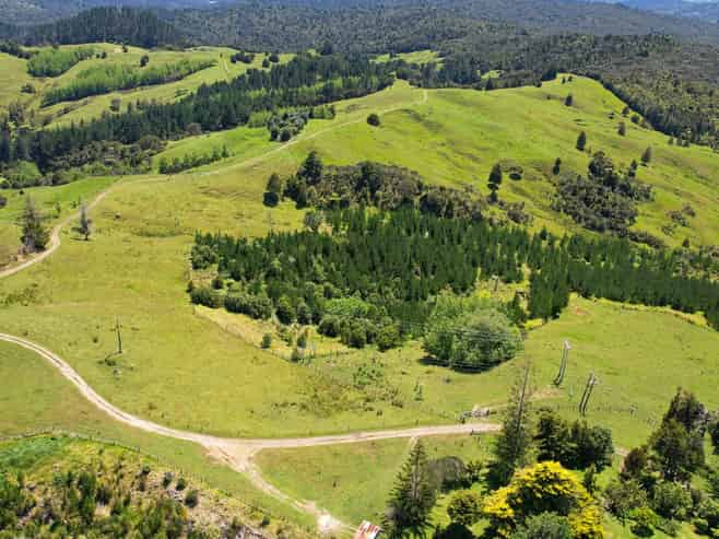 2231 State Highway 12, Waima