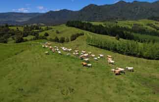 2231 State Highway 12, Waima