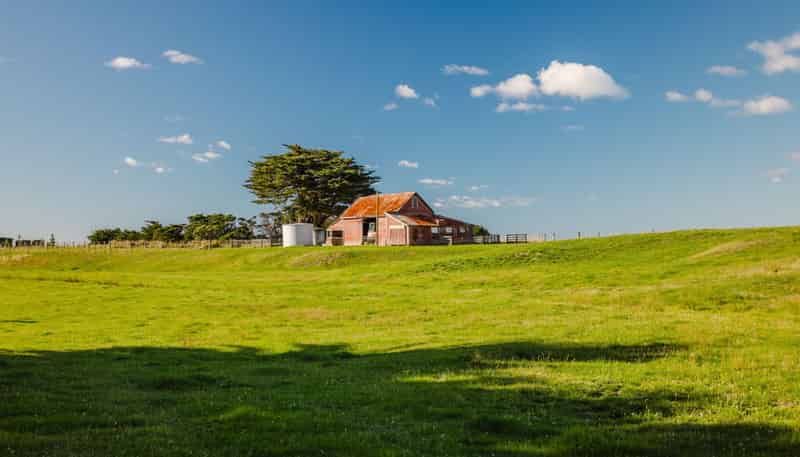 53 Seaview Road, Herbertville