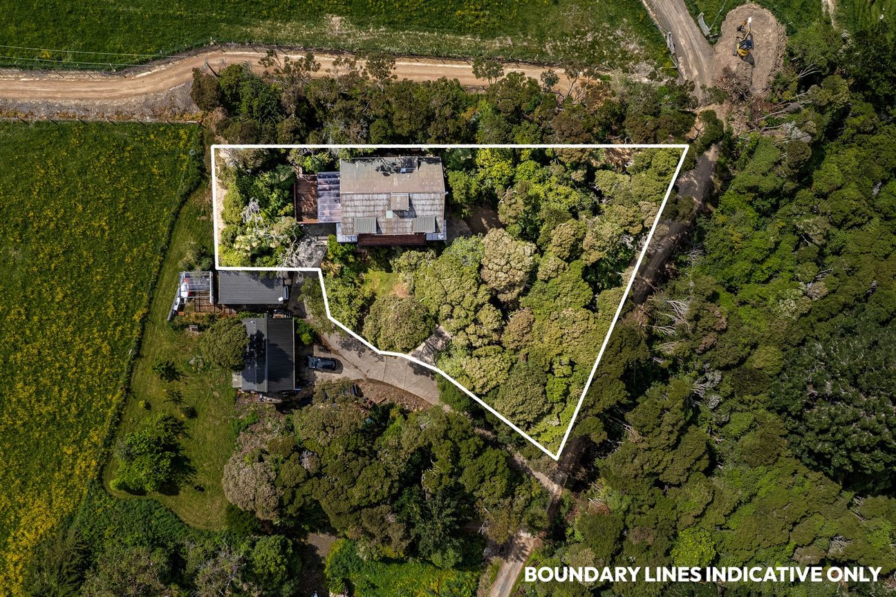 Sunny 4-Bedroom Treetop Home - Still Available! - Widok 3