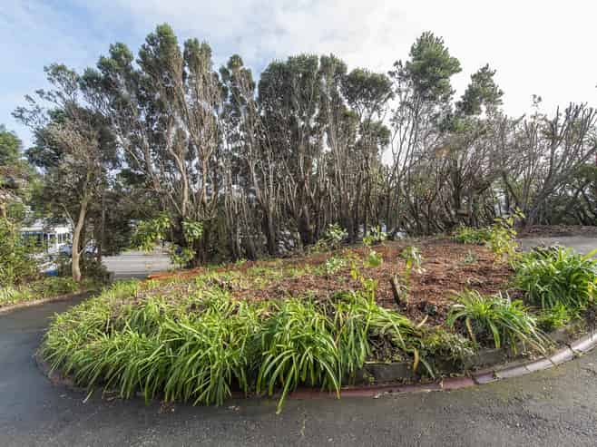 Lot 2-126 Rosetta Road, Raumati Beach