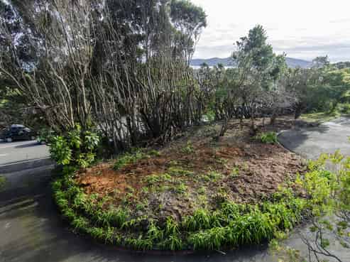 Lot 2-126 Rosetta Road, Raumati Beach