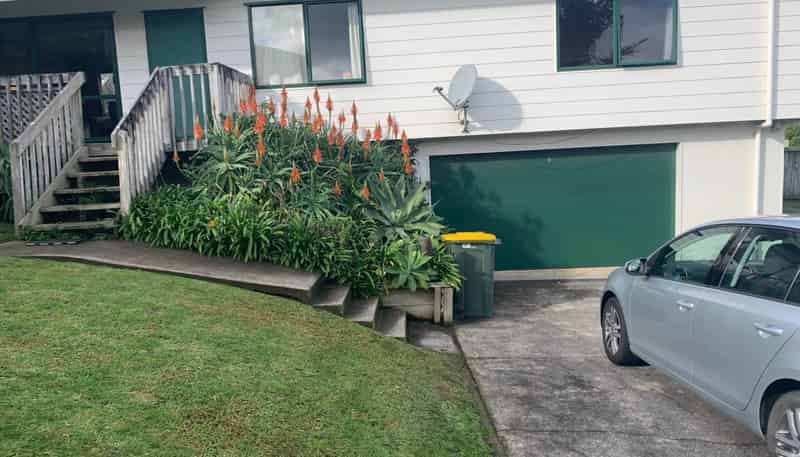 31 Donald Street, Stanmore Bay