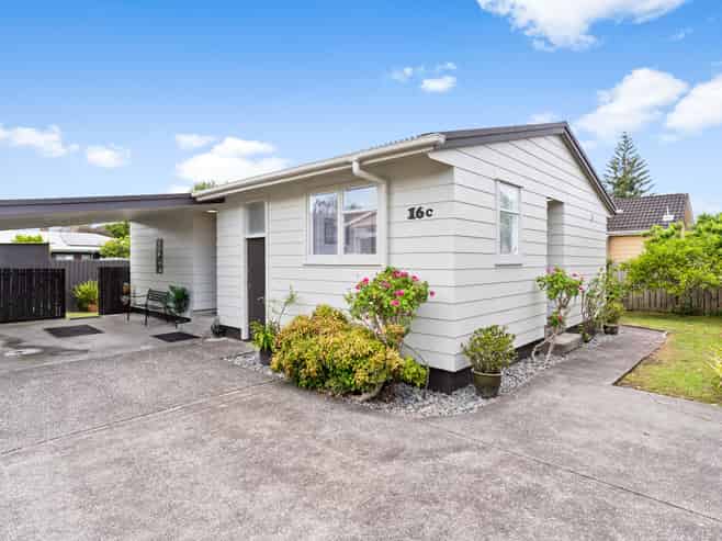 16C Orchard Street, Avondale