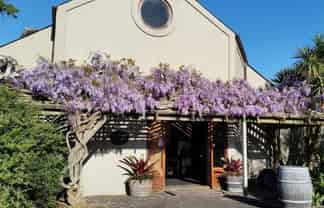 For Lease - Unique offices, retail at - 601 ST HWY 16