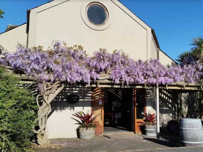 For Lease - Unique offices, retail at - 601 ST HWY 16