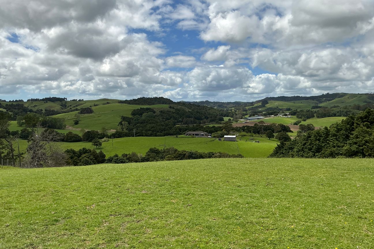 5 acre Block Waiting For You - Widok 4