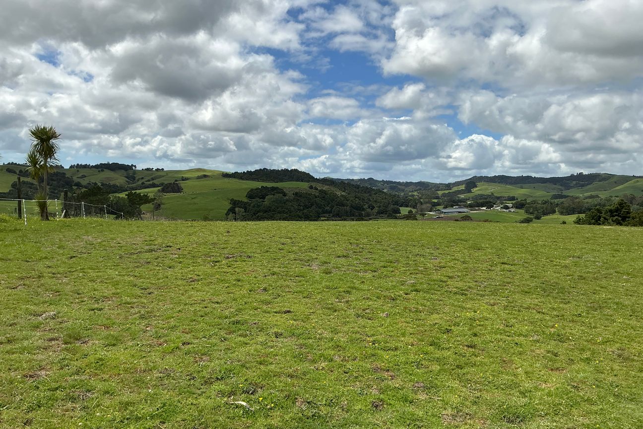 5 acre Block Waiting For You - Widok 6