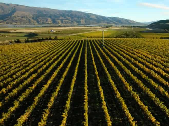 370 Bendigo Loop Road, Bendigo