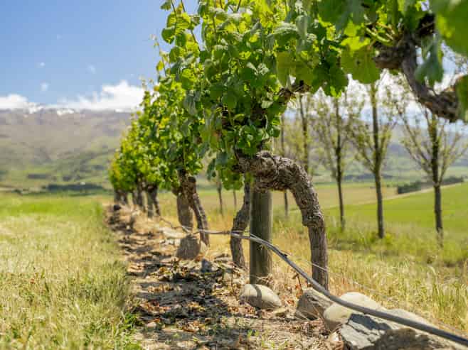 370 Bendigo Loop Road, Bendigo