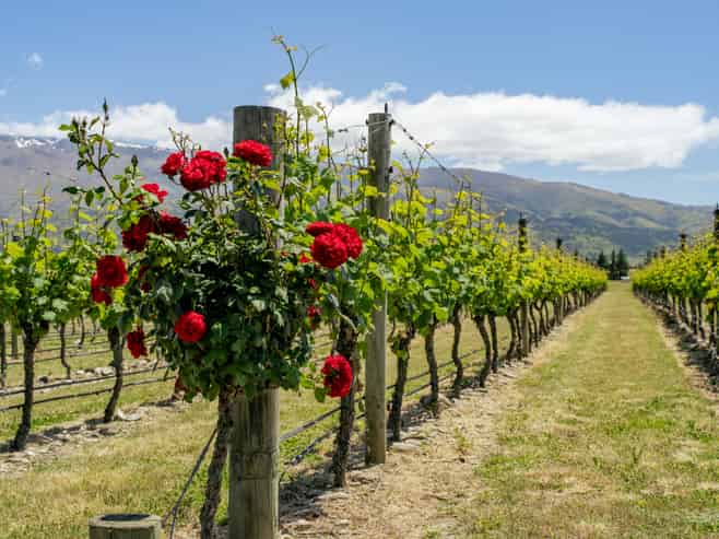 370 Bendigo Loop Road, Bendigo