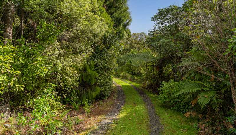 974 The 309 Rd, Whitianga