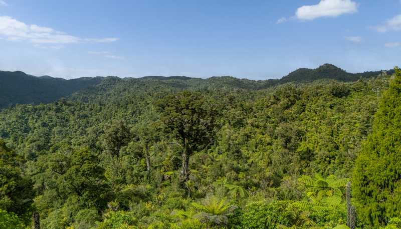 974 The 309 Rd, Whitianga
