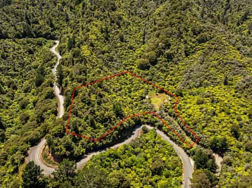 1092 Driving Creek Road, Coromandel