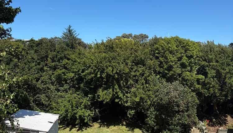 101 Alexander Road, Raumati Beach