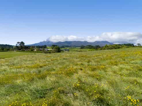 Lot 1 Mangorei Road, Mangorei