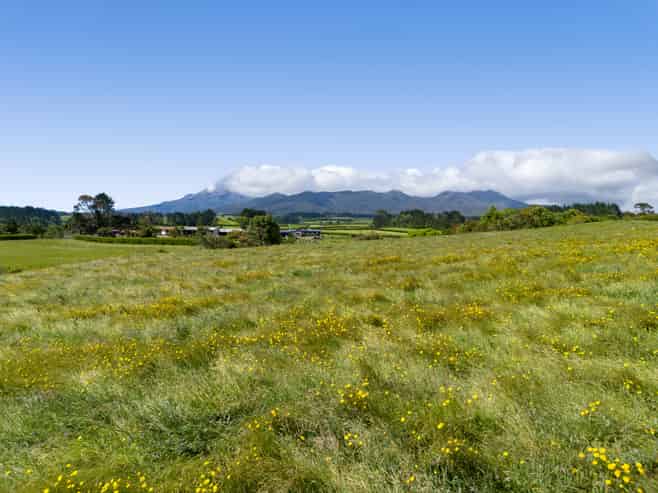 Lot 1 Mangorei Road, Mangorei