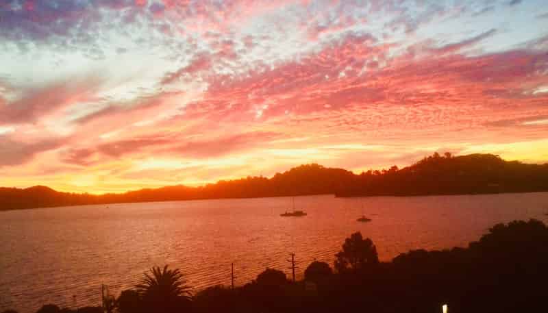 90 Harbour View Road, Coromandel