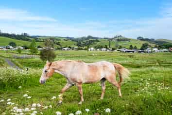 35A Valley Road, Hikurangi