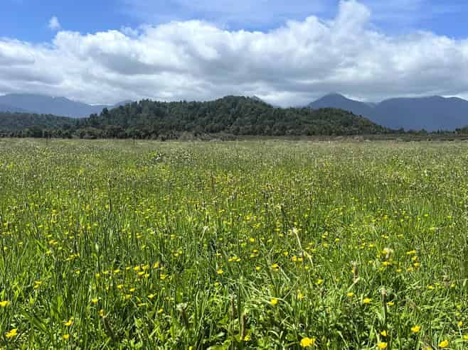  8026 State Highway 6, Charleston