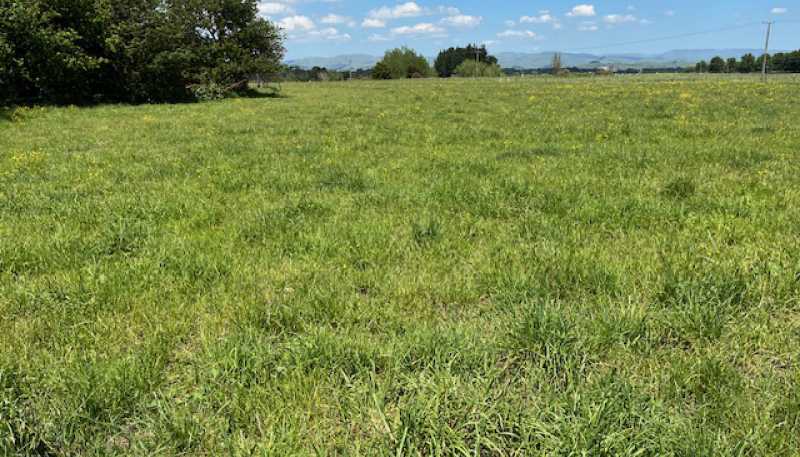 292 Tamaki River Rd, Dannevirke
