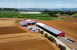 Versatile shedding with yard