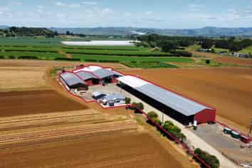 Versatile shedding with yard