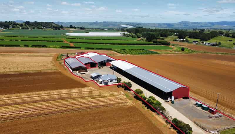 29 Dazeley Road, Puni