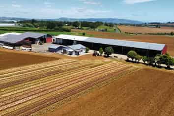 Versatile shedding with yard