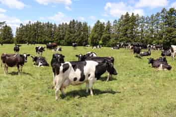 172 Radnor Road, Midhirst