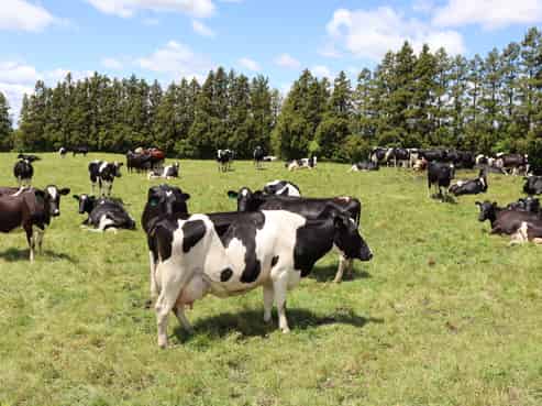 172 Radnor Road, Midhirst