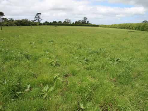 172 Radnor Road, Midhirst