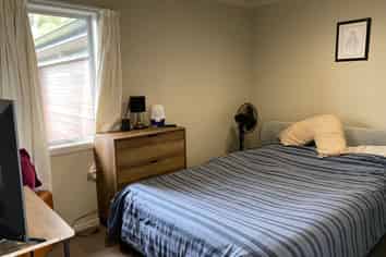 391 Wallace Road, Te Awamutu