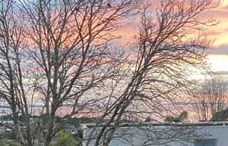 Auckland - Address withheld