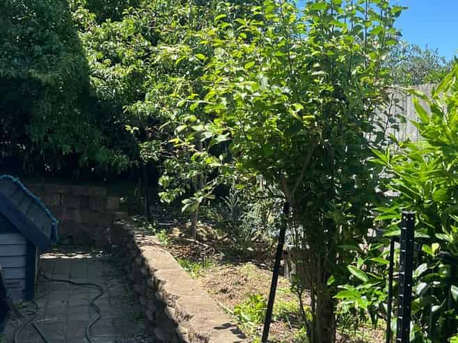 105A Gills Road, Bucklands Beach