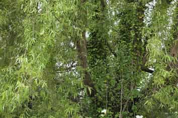 86 Rangiuru Road, Otaki Beach