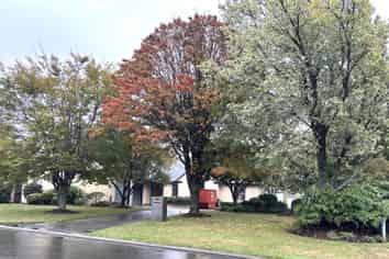 35 Stonebridge Way, Prebbleton