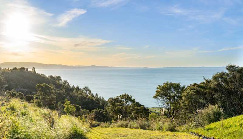 98 Tapu Rise Heights, Tapu