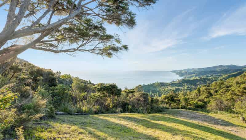 98 Tapu Rise Heights, Tapu