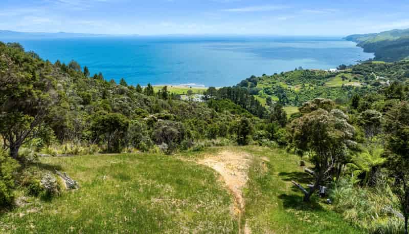 98 Tapu Rise Heights, Tapu