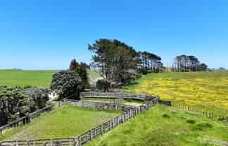 Lot 2, Scottys Camp Road, Dargaville