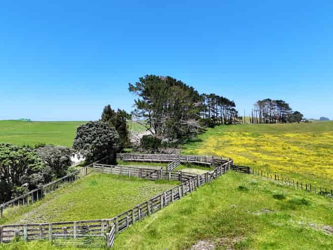 Lot 2, Scottys Camp Road, Dargaville